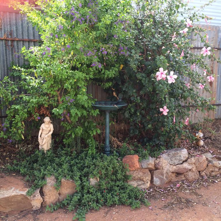 Lillymay Cottage Broken Hill Esterno foto